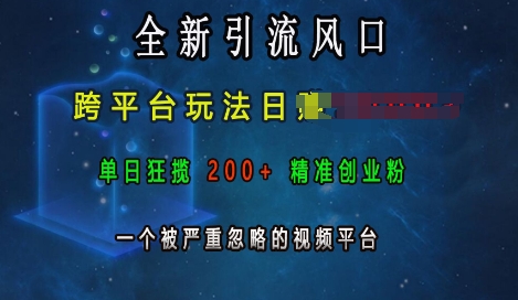 全新引流风口，跨平台玩法日入上k，单日狂揽200+精准创业粉，一个被严重忽略的视频平台-轻创副业圈