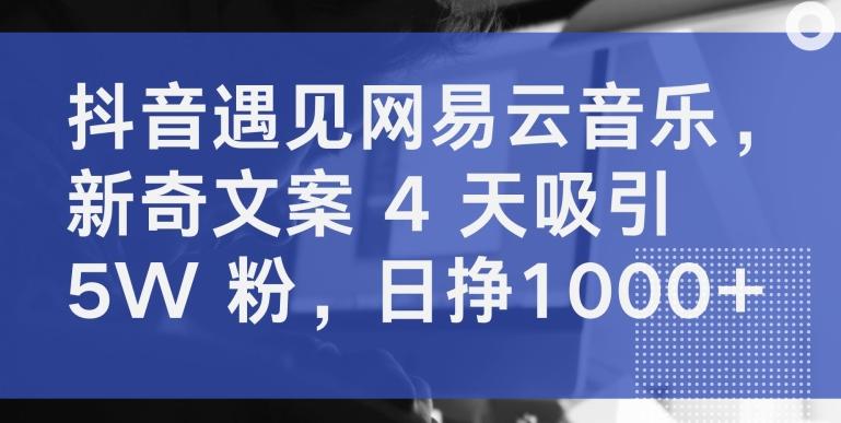 抖音遇见网易云音乐，新奇文案 4 天吸引 5W 粉，日挣1000+【揭秘】-轻创副业圈