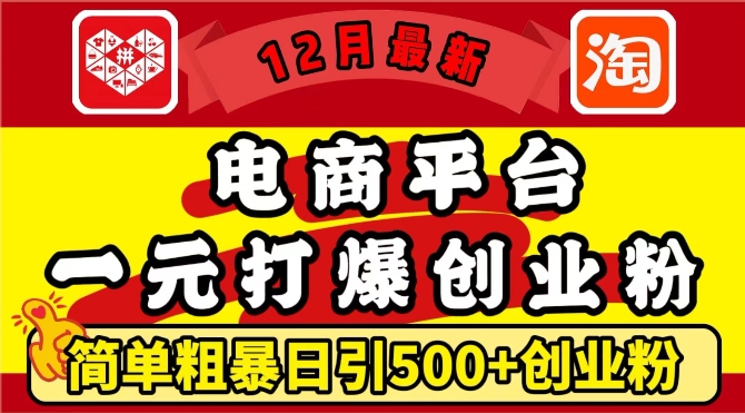 12月最新：电商平台1元打爆创业粉，简单粗暴日引500+精准创业粉，轻松月入过W【揭秘】-轻创副业圈