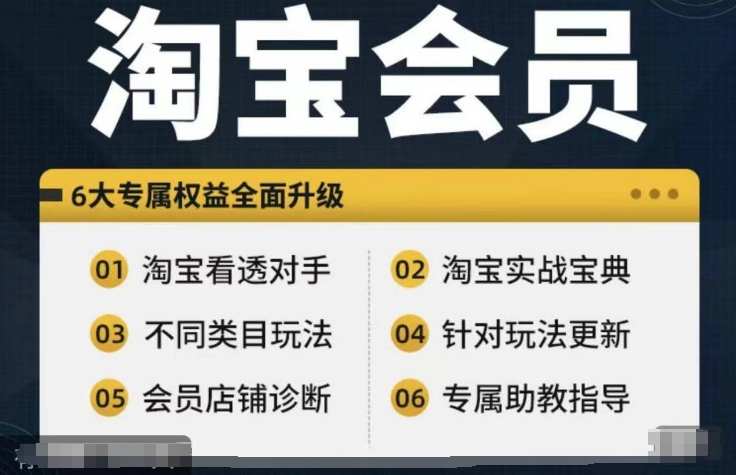 淘宝会员【淘宝所有课程，全面分析对手】，初级到高手全系实战宝典-轻创副业圈