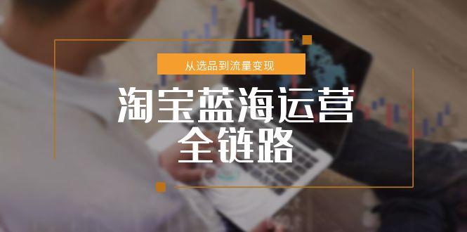 淘宝蓝海运营全链路，从选品到流量变现，小类目突围完整方案-轻创副业圈