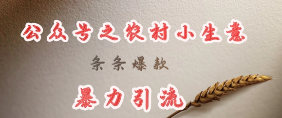 deepseek写农村小项目，条条爆款，暴力引流-轻创副业圈