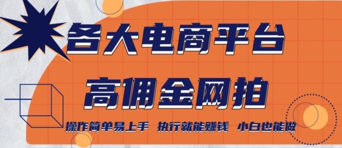 各大电商平台高佣金网拍，操作简单易上手，执行就能赚钱，小白也能做-轻创副业圈