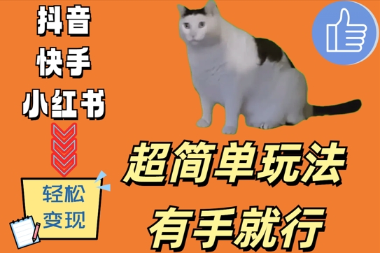 超简单玩法，有手就行，靠猫咪视频日入500+【揭秘】-轻创副业圈