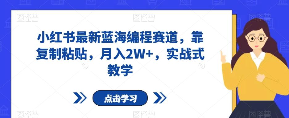 小红书最新蓝海编程赛道，靠复制粘贴，月入2W+，实战式教学【揭秘】-轻创副业圈