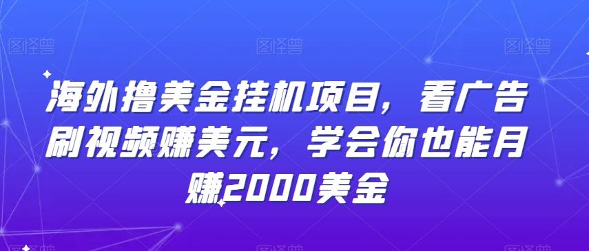 海外撸美金挂机项目，看广告刷视频赚美元，学会你也能月赚2000美金-轻创副业圈