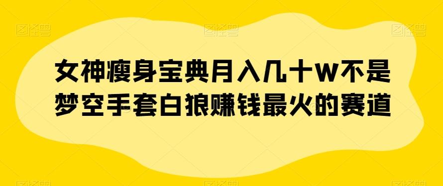 女神瘦身宝典月入几十W不是梦空手套白狼赚钱最火的赛道【揭秘】-轻创副业圈