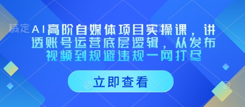 AI高阶自媒体项目实操课，讲透账号运营底层逻辑，从发布视频到规避违规一网打尽-轻创副业圈