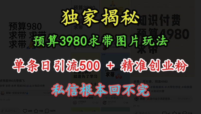预算3980求带 图片玩法，单条日引流500+精准创业粉，私信根本回不完-轻创副业圈