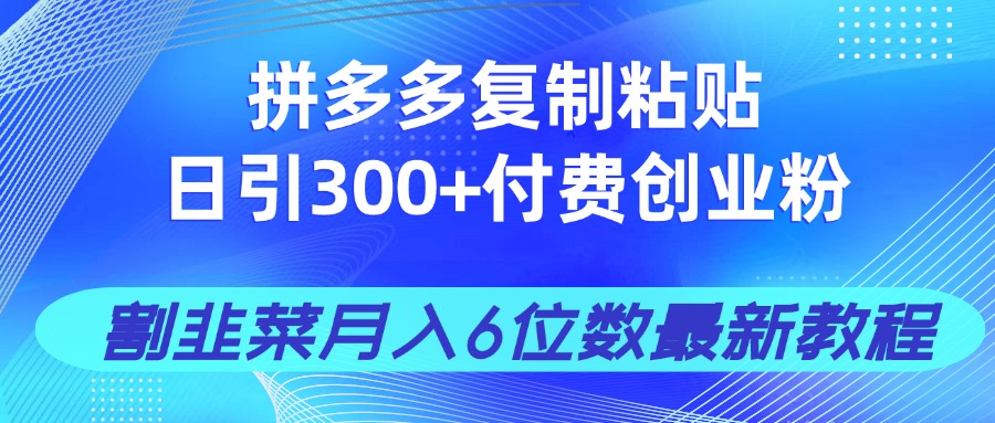 拼多多复制粘贴日引300+付费创业粉，割韭菜月入6位数最新教程！-轻创副业圈