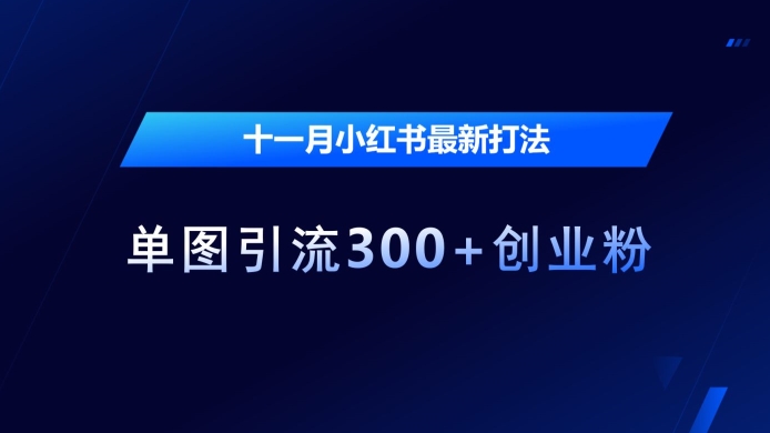 十一月小红书最新打法，单图引流300+创业粉【揭秘】-轻创副业圈