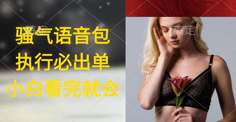 (9589期)执行就出单，日入2000+，超火骚气语音包，小白看完课程就能马上实操-轻创副业圈