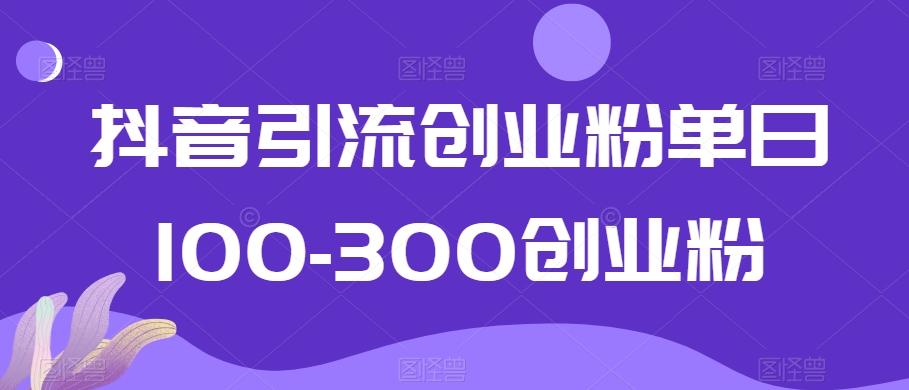 抖音引流创业粉单日100-300创业粉【揭秘】-轻创副业圈