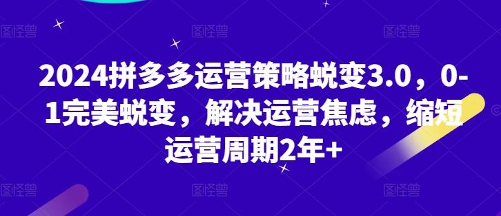 2024拼多多运营策略蜕变3.0，0-1完美蜕变，解决运营焦虑，缩短运营周期2年+-轻创副业圈