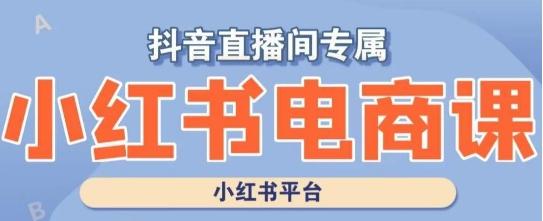 小红书电商高级运营课程，实操教学+案例分析-轻创副业圈
