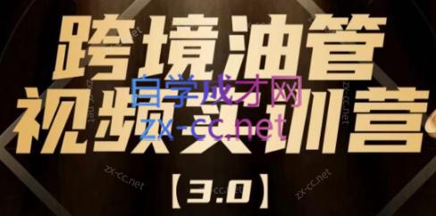 阿蔺Leo·跨境油管视频YouTube实训营(更新2025)-轻创副业圈