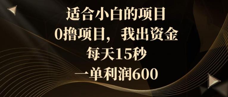适合小白的项目，0撸项目，我出资金，每天15秒，一单利润600-轻创副业圈