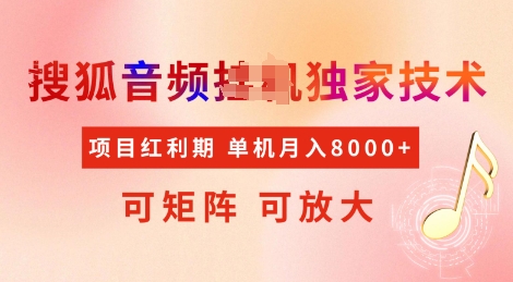 全网首发搜狐音频挂JI独家技术，项目红利期，可矩阵可放大，稳定月入8k【揭秘】-轻创副业圈