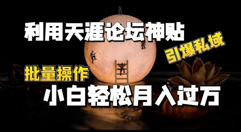 利用天涯论坛神贴，引爆私域，批量操作，小白轻松月入过w【揭秘】-轻创副业圈
