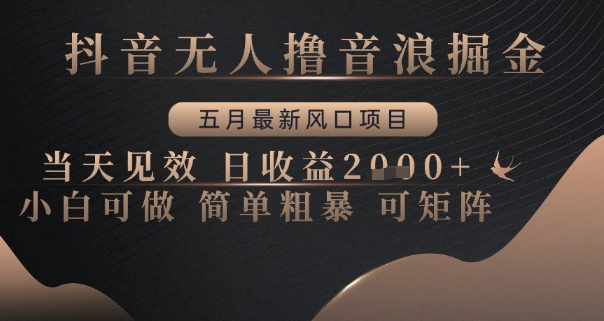 抖音无人撸音浪掘金，五月最新风口项目，当天见效，日收益多张，小白可做简单粗暴可矩阵【揭秘】-轻创副业圈