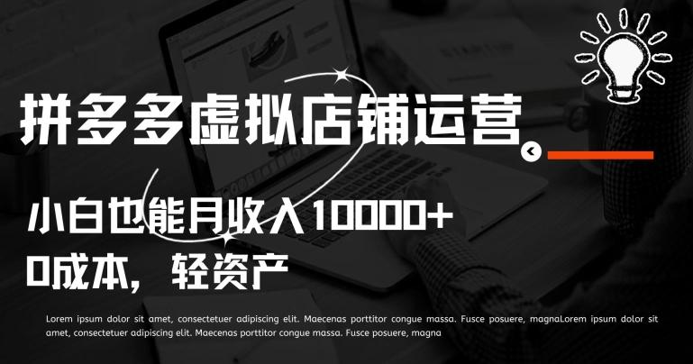 拼多多虚拟店铺运营小白也能月收入10000+【揭秘】-轻创副业圈