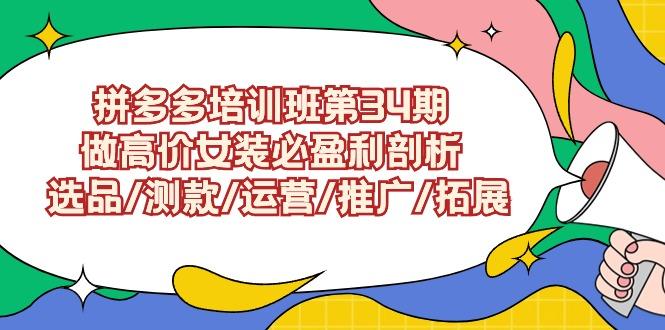(9333期)拼多多培训班第34期：做高价女装必盈利剖析  选品/测款/运营/推广/拓展-轻创副业圈