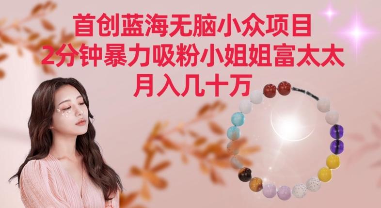 首创蓝海无脑小众项目，2分钟暴力吸粉小姐姐富太太，月入几十万【揭秘】-轻创副业圈