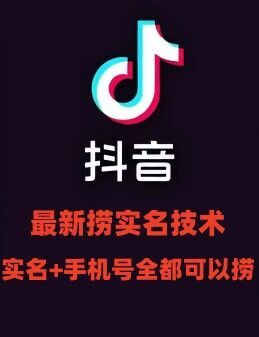 最新技术抖音捞实名+捞手机号技术，抖音直播封禁释放十名/手机号，直接替换出来!-轻创副业圈