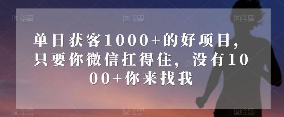 单日获客1000+的好项目，只要你微信扛得住，没有1000+你来找我【揭秘】-轻创副业圈