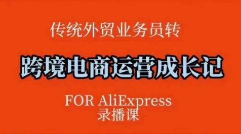 跨境电商速卖通运营课，​运营方法论+后台实操，逻辑清晰-轻创副业圈