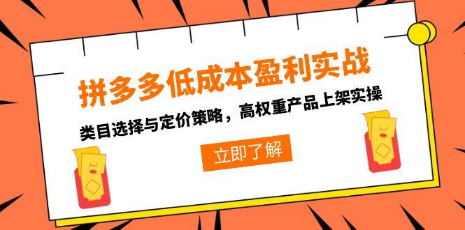 拼多多低成本盈利实战，类目选择与定价策略，高权重产品上架实操-轻创副业圈