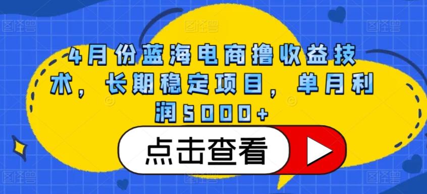 4月份蓝海电商撸收益技术，长期稳定项目，单月利润5000+【揭秘】-轻创副业圈