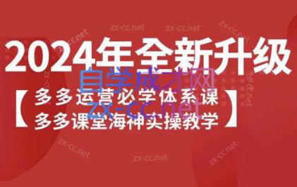 海神老师·拼多多运营必学体系课-轻创副业圈