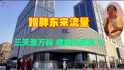 蹭胖东来流量，三天涨万粉，收益直接起飞-轻创副业圈