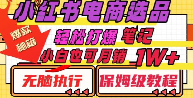 小红书电商爆款选品秘籍，帮你轻松打爆笔记，小白也可轻松月销10000+-轻创副业圈