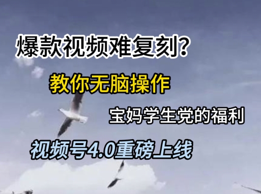 视频号4.0重磅上线，爆款视频难复刻？教你无脑操作宝妈学生党的福利【揭秘】-轻创副业圈