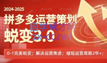 大力老师·2024拼多多运营策略蜕变3.0-轻创副业圈