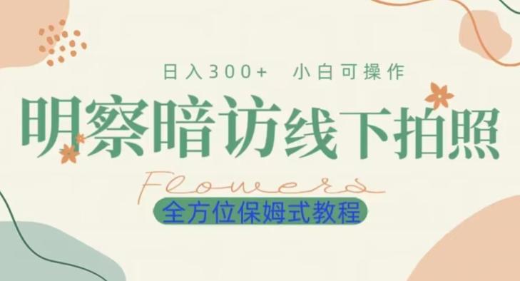 明拍暗拍项目0成本投入日入300+小白可操作保姆式全方位教程-轻创副业圈
