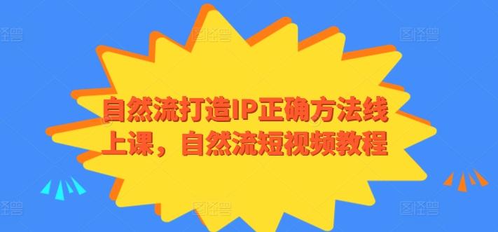 自然流打造IP正确方法线上课，自然流短视频教程-轻创副业圈