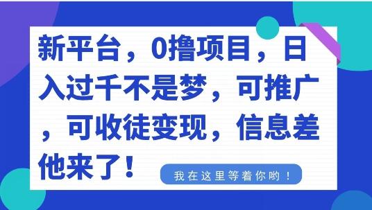不要再花冤枉钱了，0撸项目，每天坚持，稳定1000+-轻创副业圈