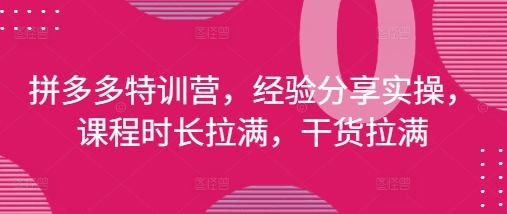 拼多多特训营，经验分享实操，课程时长拉满，干货拉满(更新25年4月)-轻创副业圈