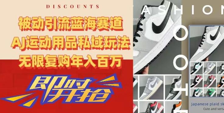 被动引流蓝海赛道，AJ运动用品私域玩法，无限复购年入百万【揭秘】-轻创副业圈