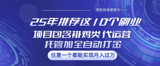 25年推荐这10个副业项目包含褂鸡类、代运营托管类、全自动打金类【揭秘】-轻创副业圈