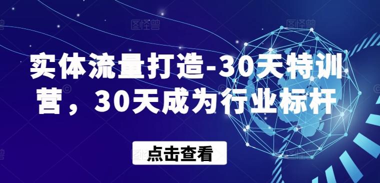 实体流量打造-30天特训营，30天成为行业标杆-轻创副业圈