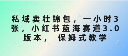 私域卖壮锦包，一小时3张，小红书蓝海赛道3.0版本， 保姆式教学-轻创副业圈