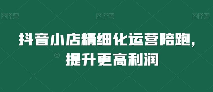 抖音小店精细化运营陪跑，提升更高利润-轻创副业圈