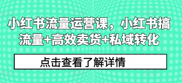 小红书流量运营课，小红书搞流量+高效卖货+私域转化-轻创副业圈