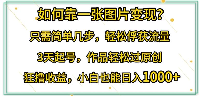 如何靠一张图片变现?只需简单几步，轻松俘获流量，3天起号，作品轻松过原创【揭秘】-轻创副业圈