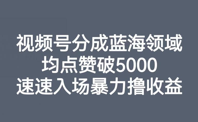 视频号分成蓝海领域，均点赞破5000，速速入场暴力撸收益-轻创副业圈