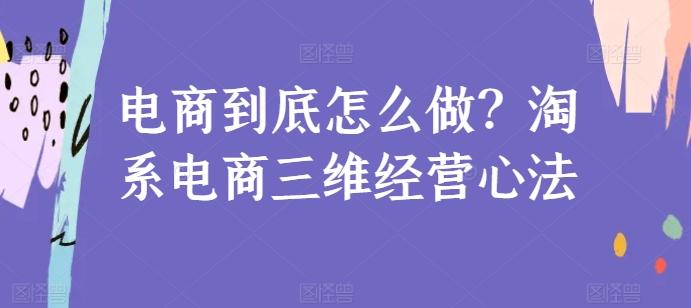 电商到底怎么做？淘系电商三维经营心法-轻创副业圈